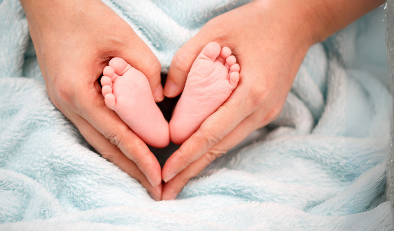 newborn feet and mother hands image